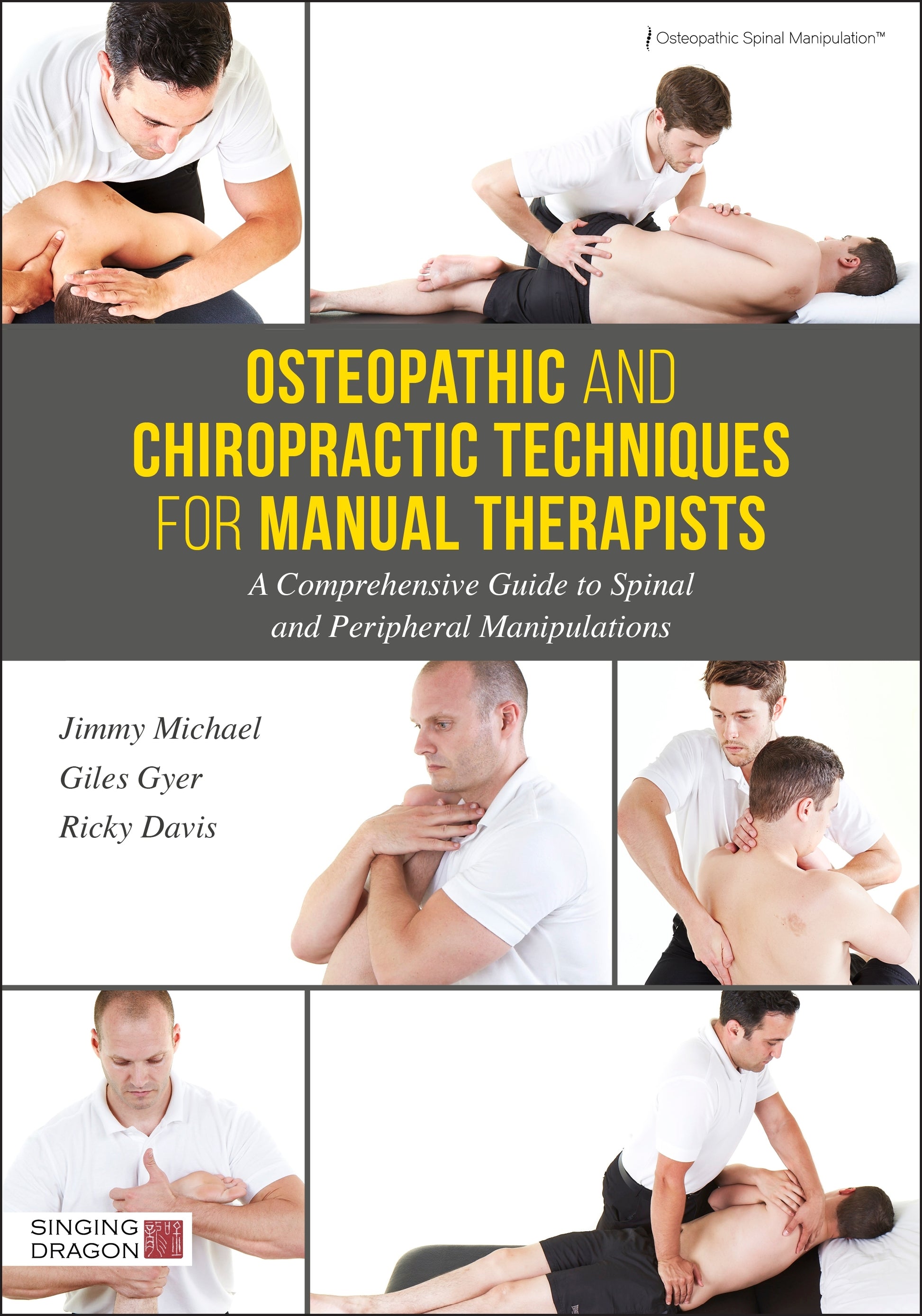 Osteopathic and Chiropractic Techniques for Manual Therapists by Giles Gyer, Jimmy Michael, Ricky Davis