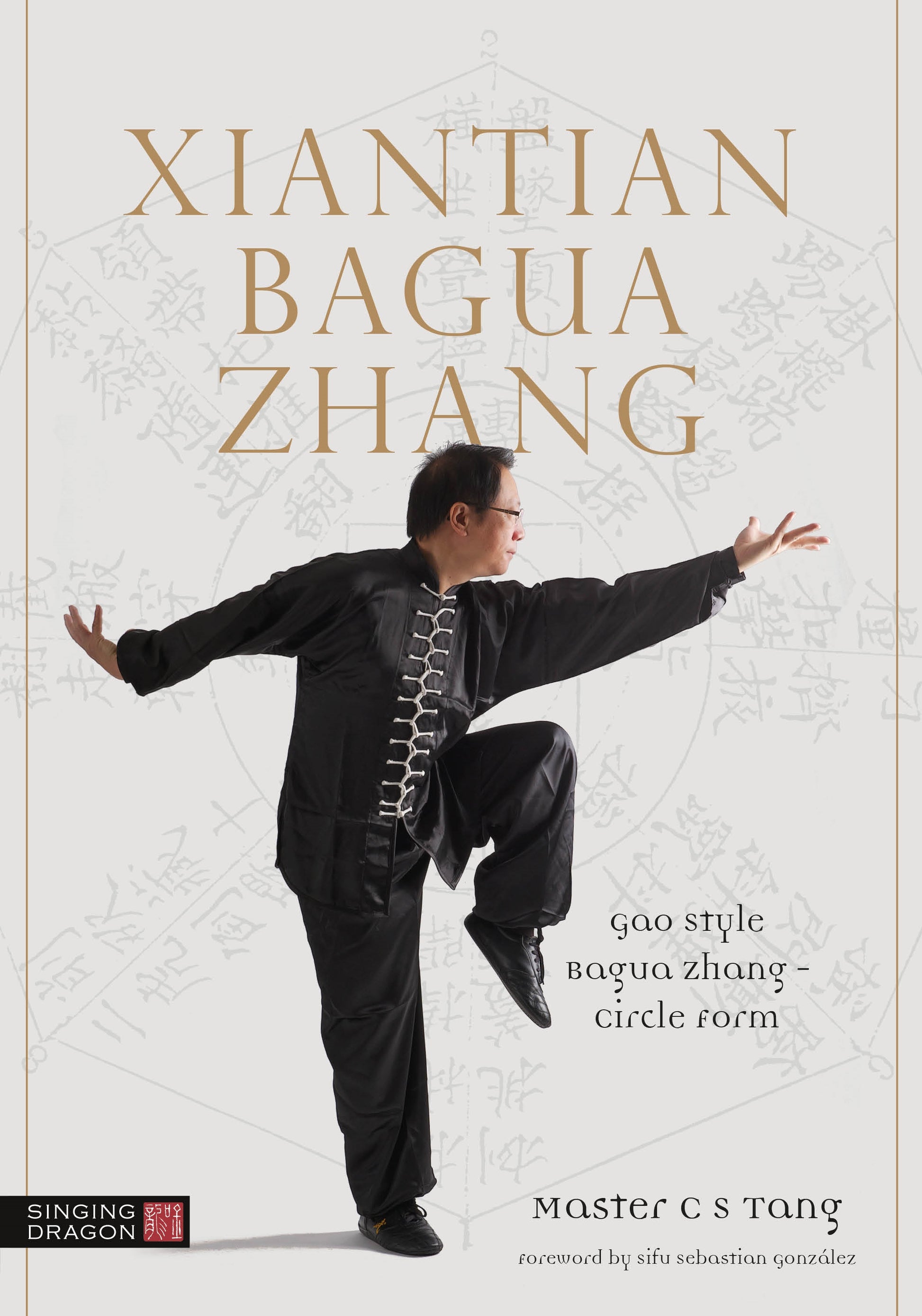 Xiantian Bagua Zhang by Tang Cheong Shing, Sebastian Gonzalez